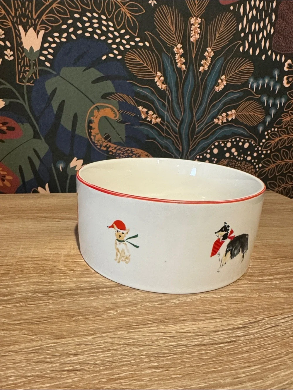NWOT | Beth Briggs Holiday dog bowl